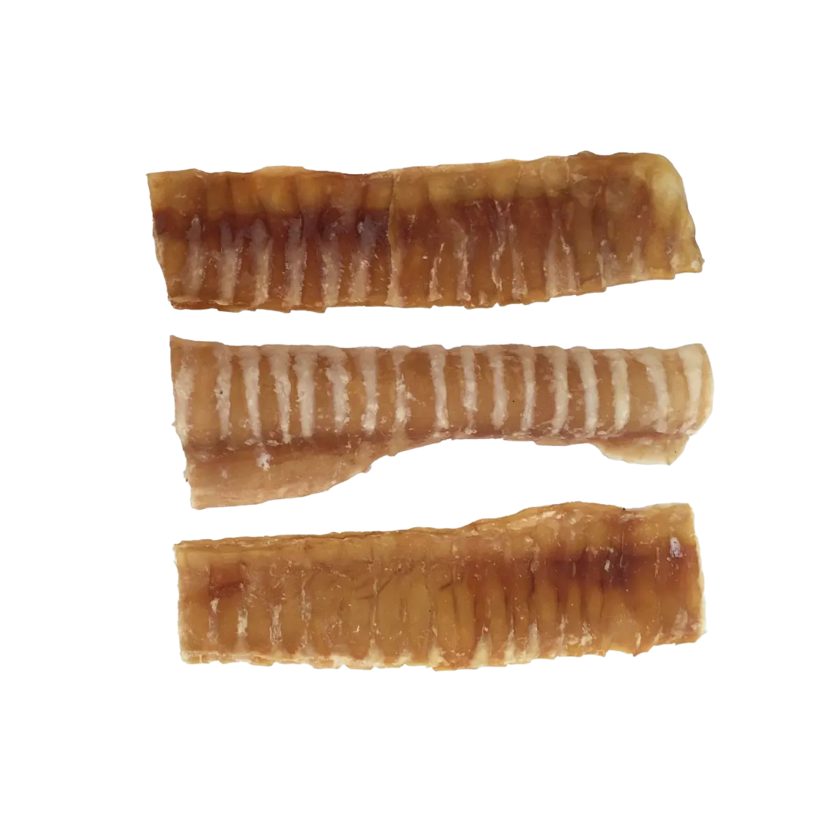 6" Trachea Flats