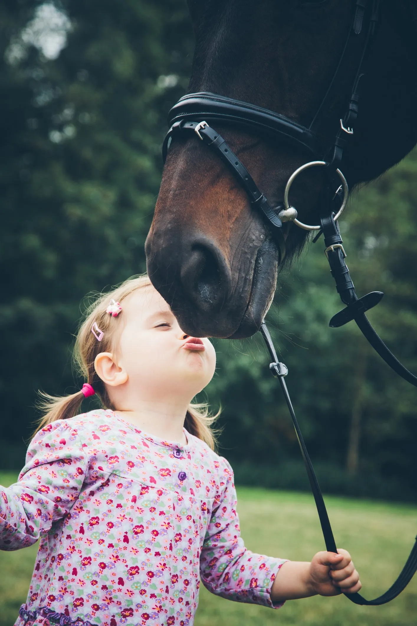 Allergy to Horses Plus
