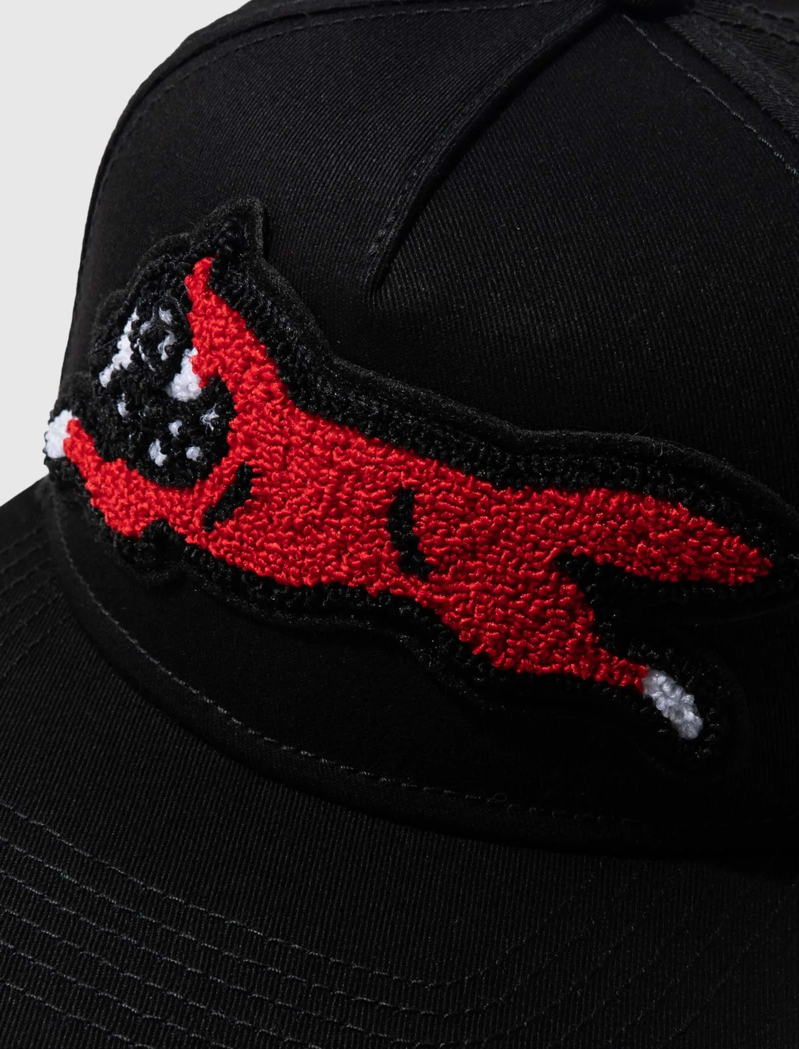 BARK SNAPBACK HAT
