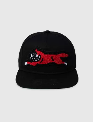 BARK SNAPBACK HAT