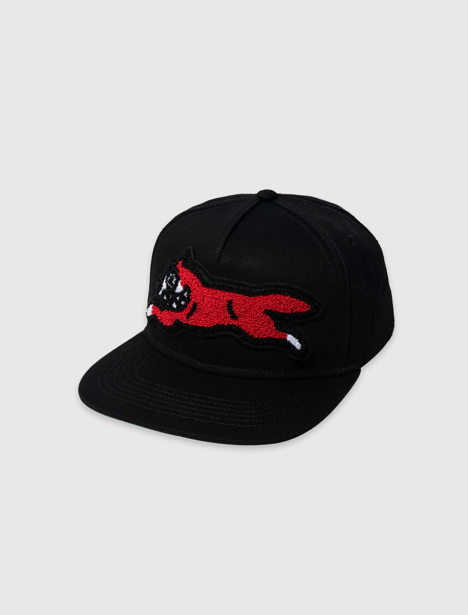 BARK SNAPBACK HAT