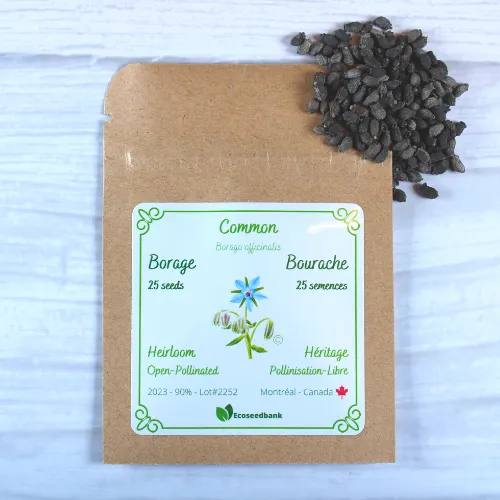 Borage Seeds