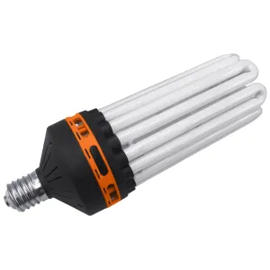 Compact Fluorescent Lamps (CFLs) Dual Spec