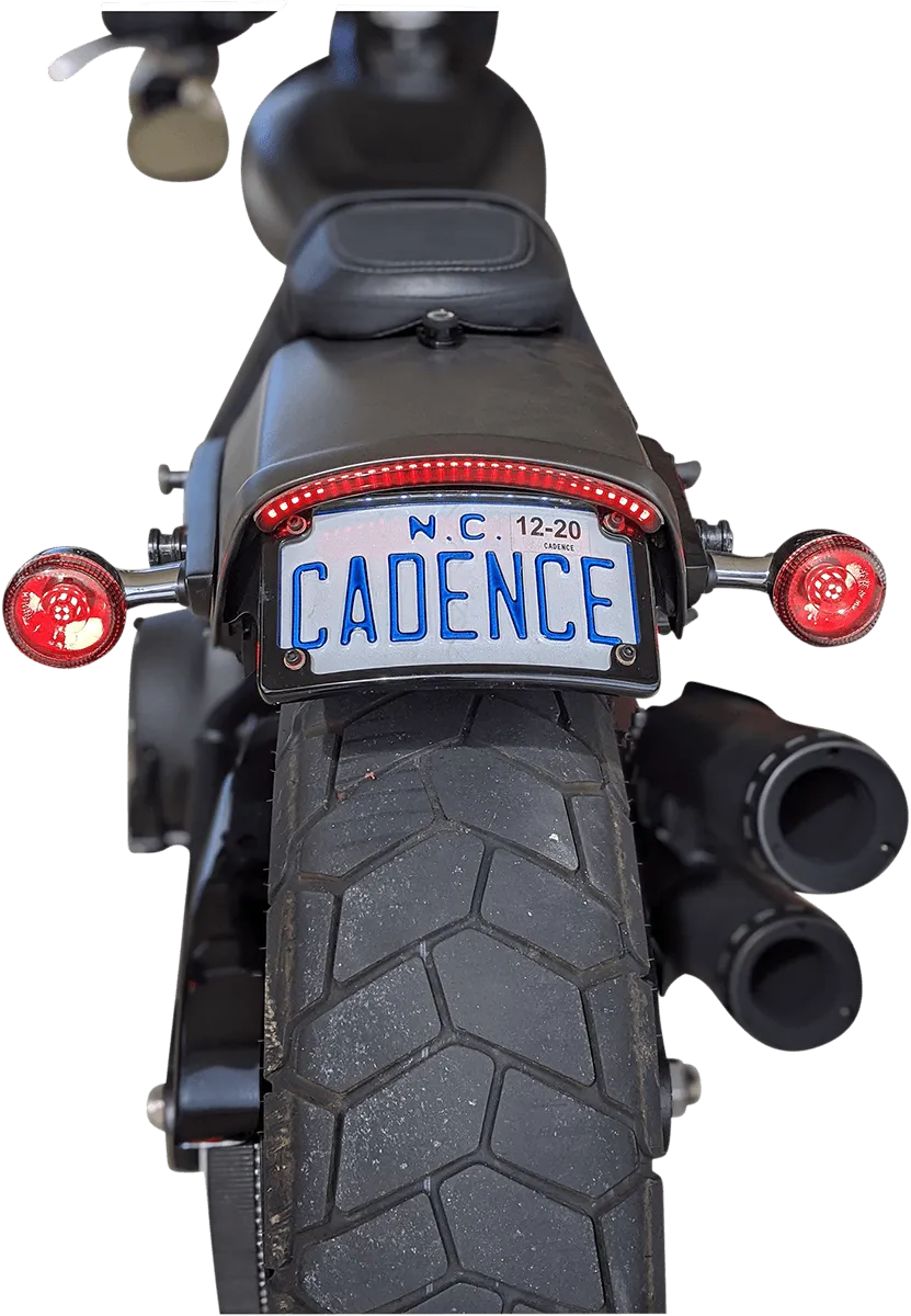 Custom Dynamics CD-FATBOB-S LED Taillight with Turn Signals