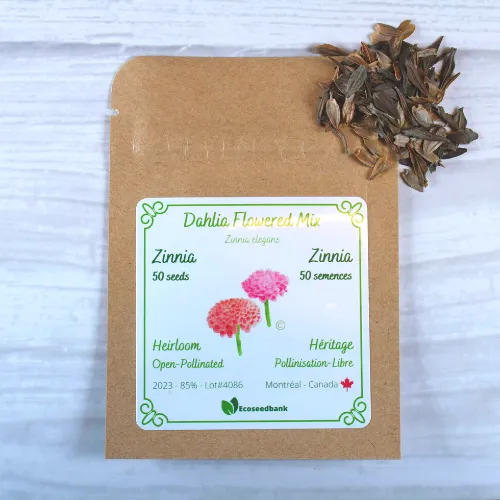 Dahlia Flowered Mix Zinnia Seeds