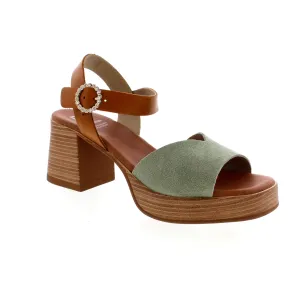 Dorking D9283 - Green/Tan