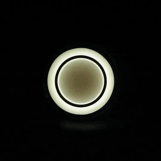 Eagle Lights HALOS 2" Front LED Turn Signals for Harley Davidson Motorcycles