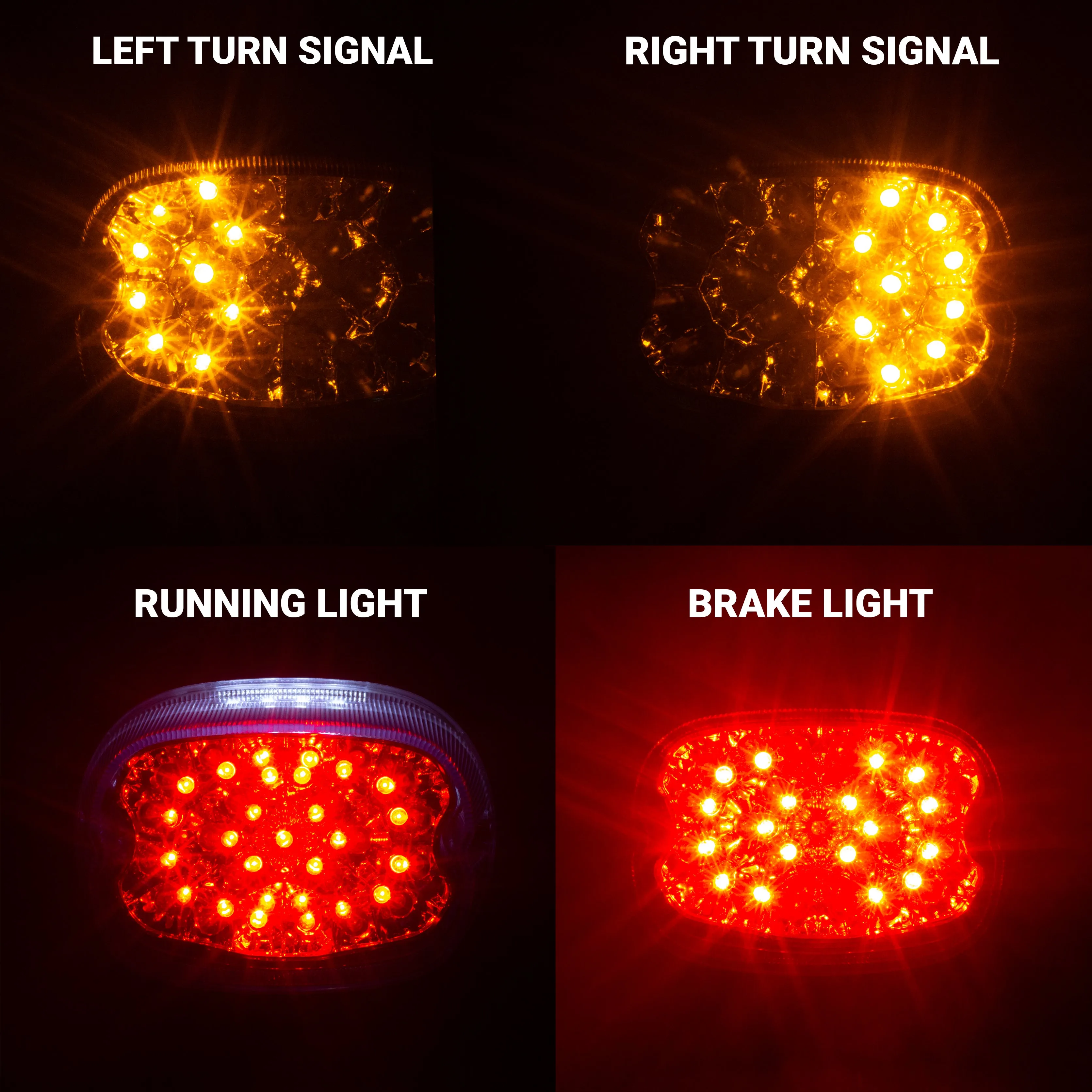 Eagle Lights Squareback LED Replacement Softtail / Touring / Sportster / Dyna Tail Light with Built In LED Turn Signals