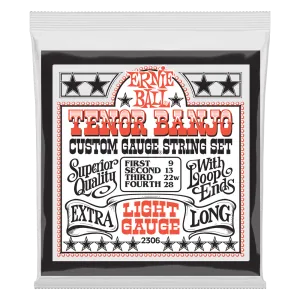 Ernie Ball Light Loop End Stainless Steel Tenor Banjo Guitar Strings, 9-28 Gauge