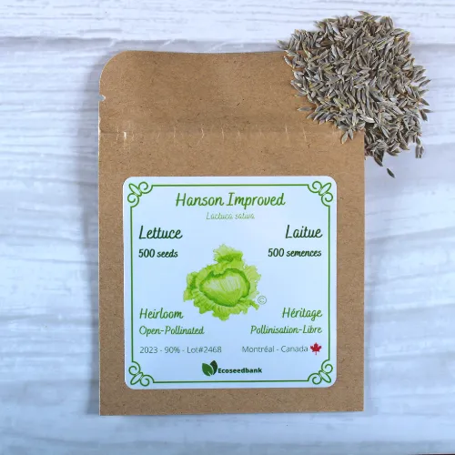 Hanson Improved Lettuce Seeds