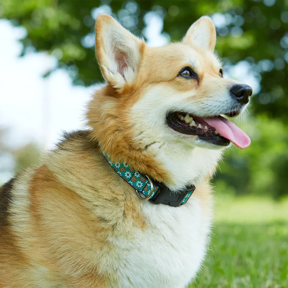 Hyland River - Dog Collar