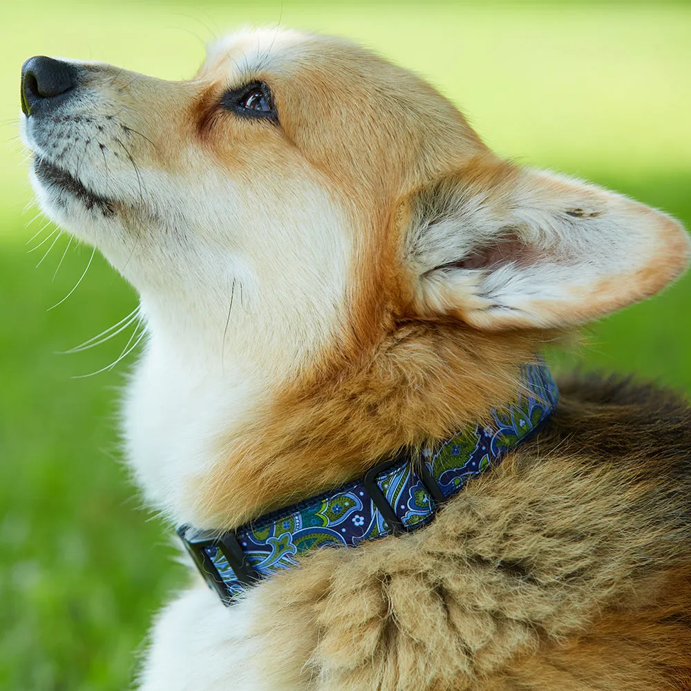 Hyland River - Dog Collar