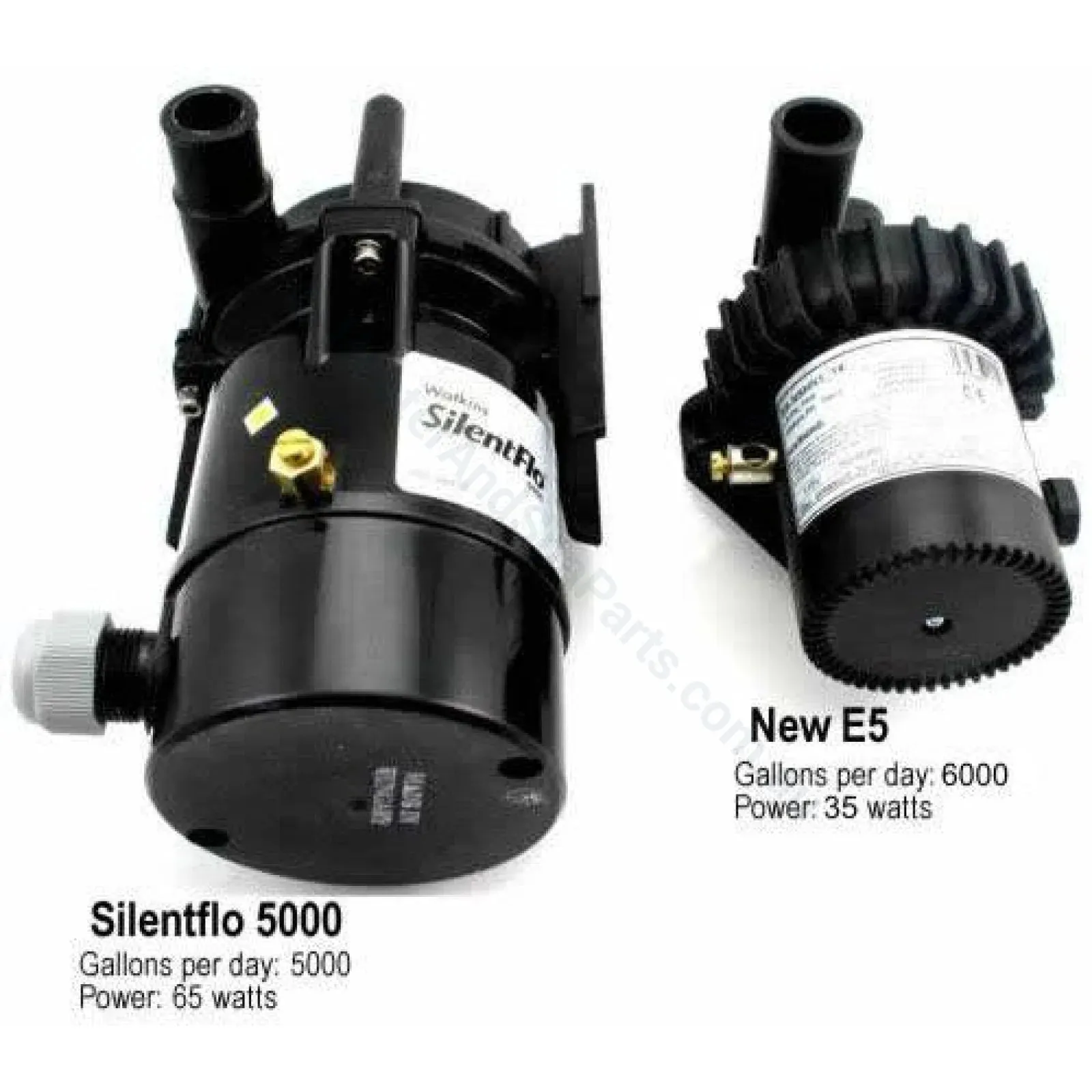 Laing Watkins E-5 SilentFlo 5000 - Spa Circulation Filtration Pump
