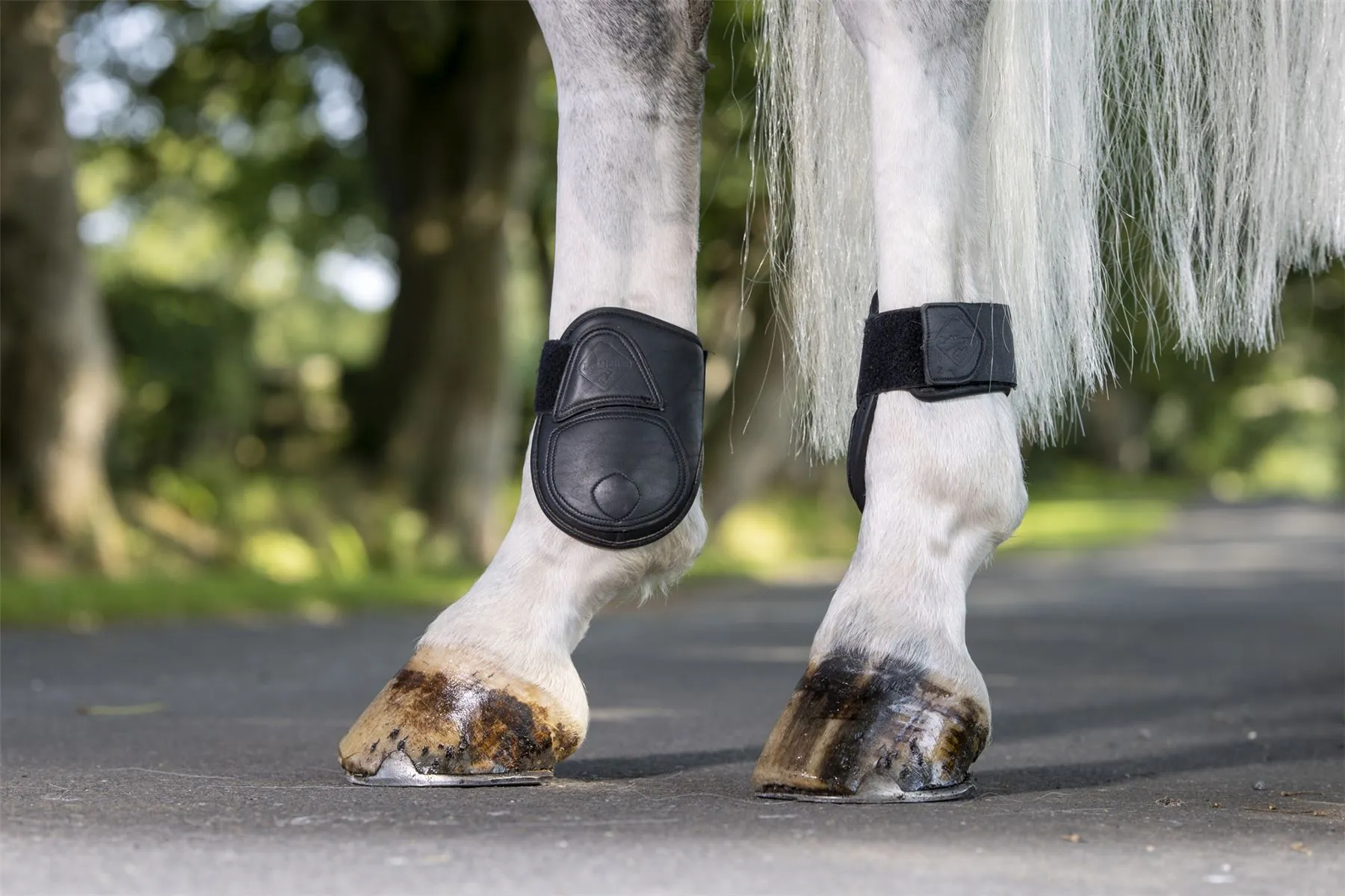 LeMieux Capella Fetlock Boots