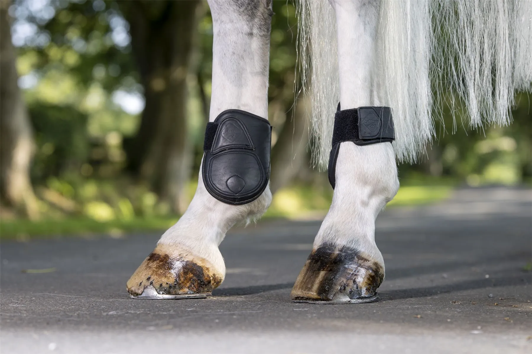 LeMieux Capella Fetlock Boots