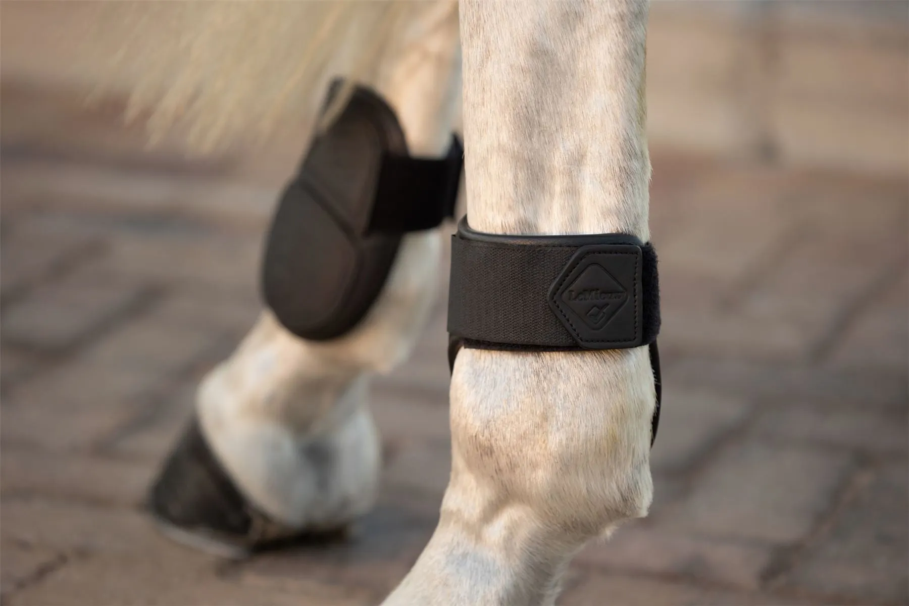 LeMieux Capella Fetlock Boots
