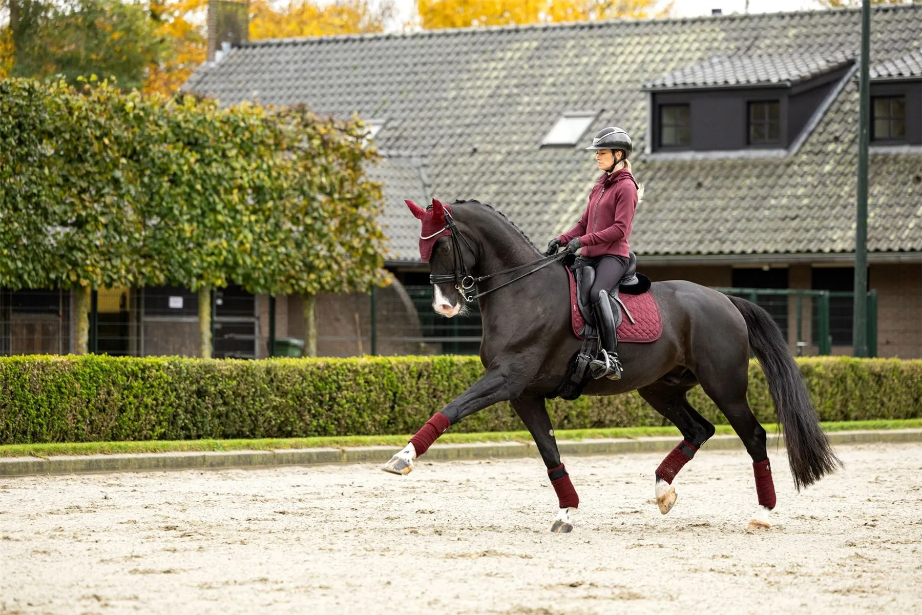 LeMieux Crystal Suede Dressage Pad