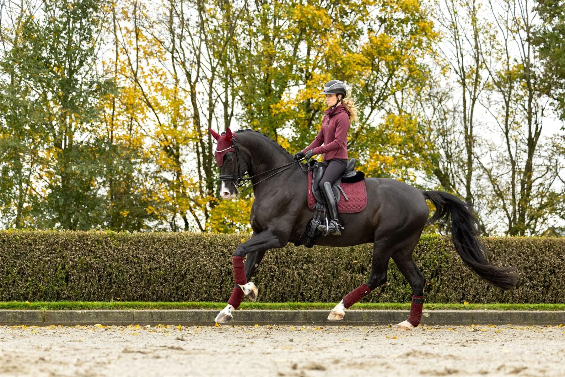 LeMieux Crystal Suede Dressage Pad