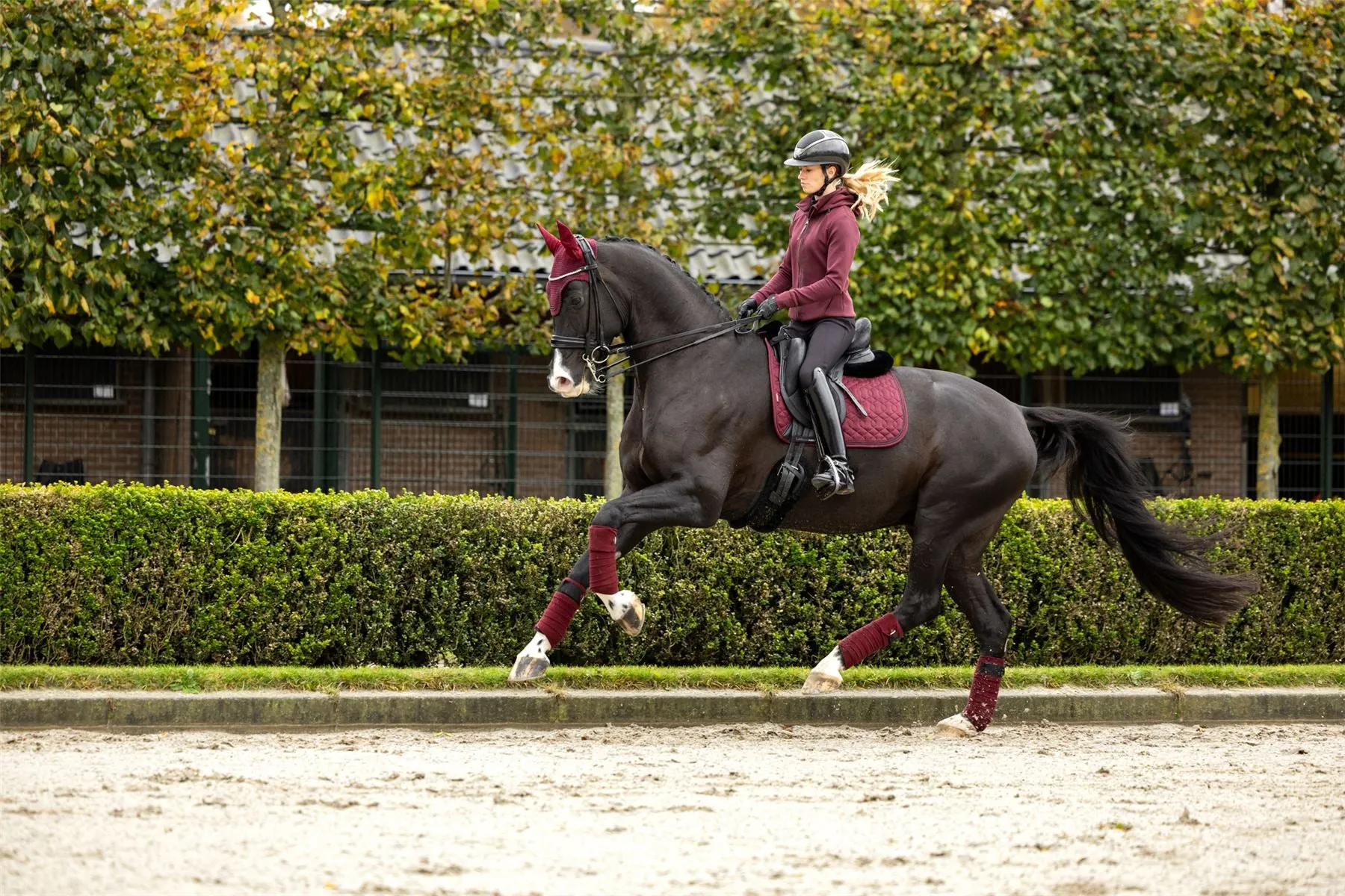 LeMieux Crystal Suede Dressage Pad
