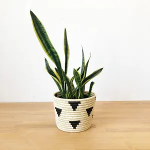 Mirango Basket Planter