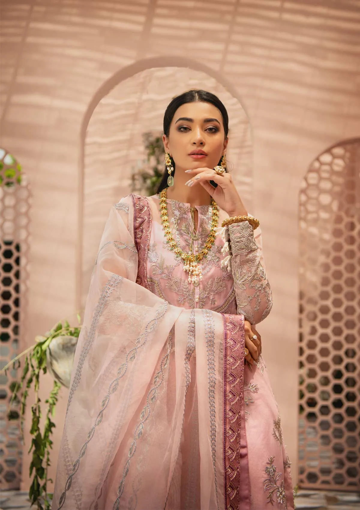 MYSTIQUE - LOOK 06 | AIK Atelier Festive Mystique Organza & Tule 2021 Collection | Unstitched Embroidered Organza Suits