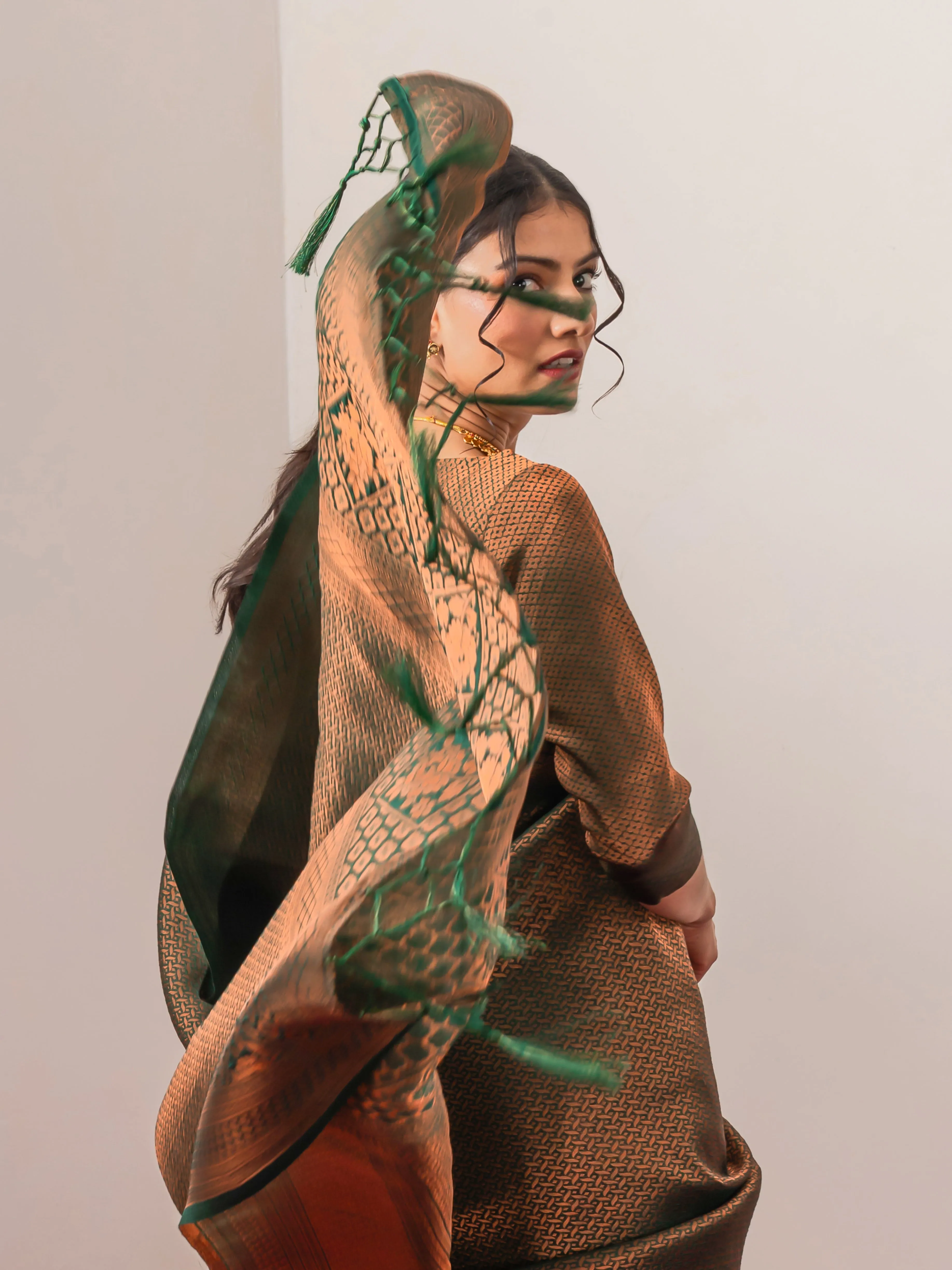 Sana Green Jaal Work Soft Silk Saree with Blouse Fabric
