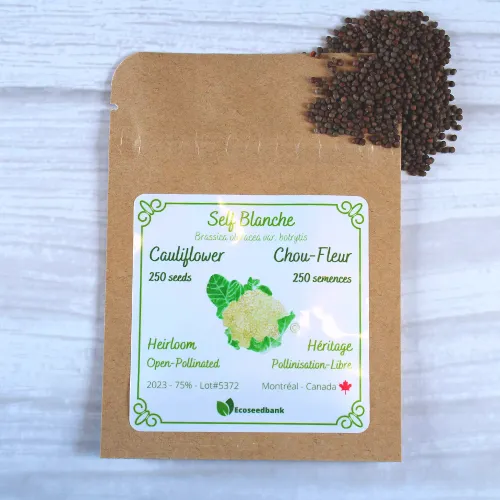 Self Blanche Cauliflower Seeds