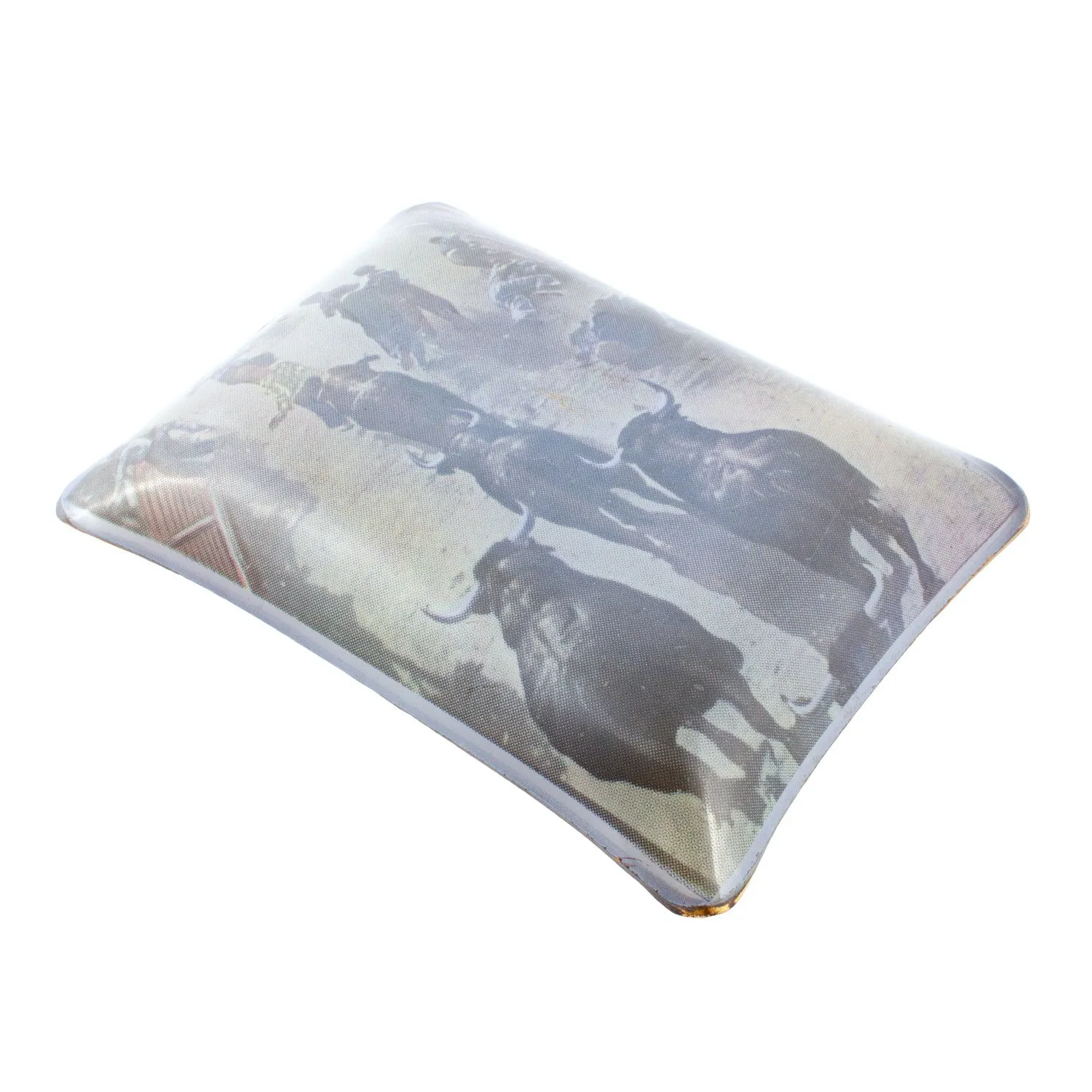 Vintage Glass Dish with Running of the Bulls Printed Image
