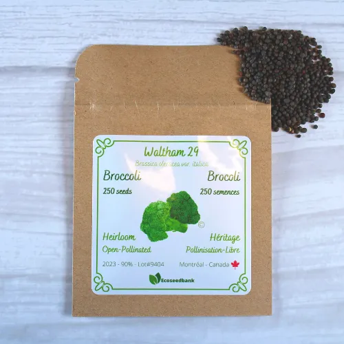 Waltham 29 Broccoli Seeds