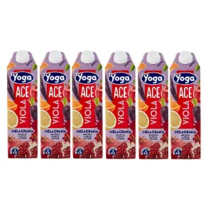 Yoga Nettare Ace Viola Orangen-, Karotten-, Zitronen-, Granatapfelnektar 6x1L